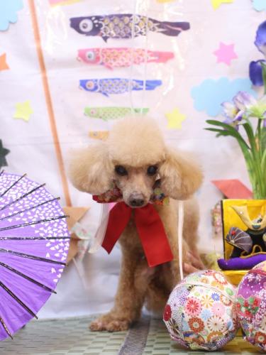 20240508リールちゃん